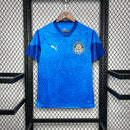 Camisa Palmeiras Treino 24/25 - Puma Torcedor Masculina