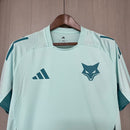 Camisa Cruzeiro Treino 25/26 Azul Turquesa Claro - Adidas Torcedor Masculina