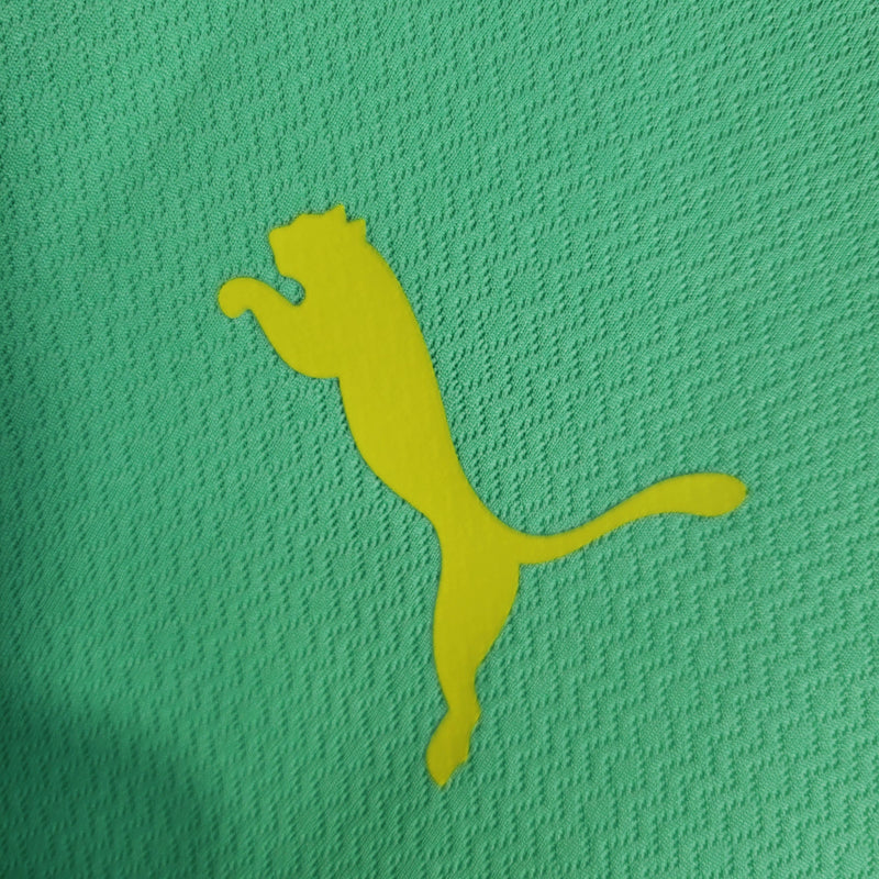 Camisa Palmeiras Third 23/24 - Puma Torcedor Masculina