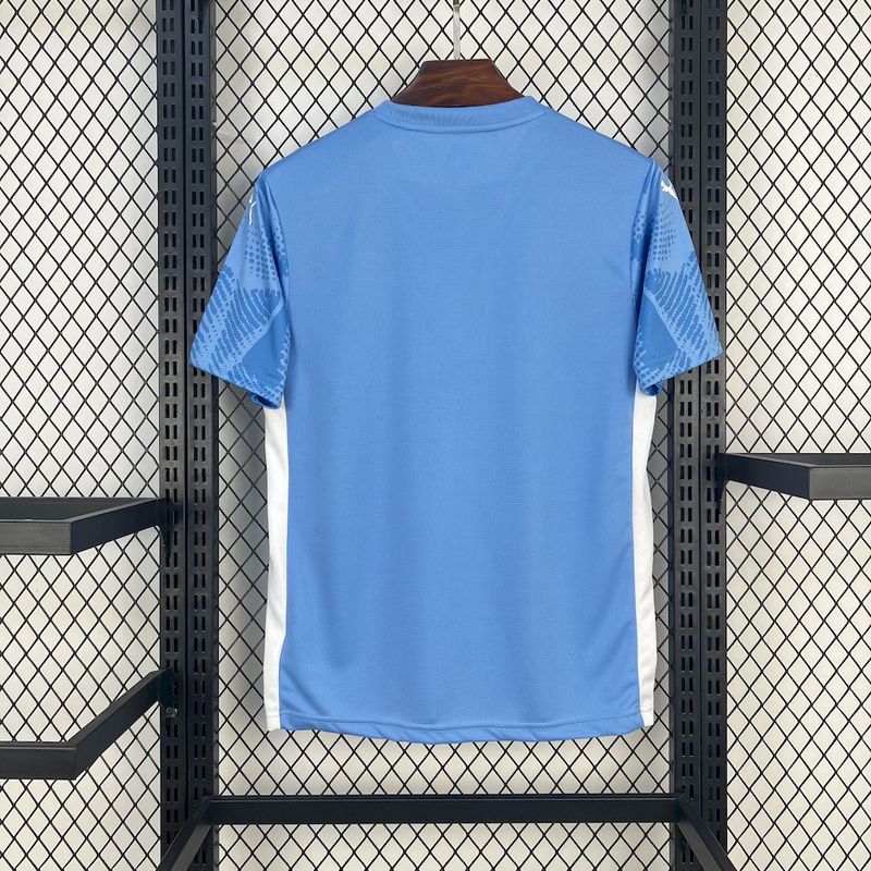 Camisa Palmeiras Goleiro 25/26 - Puma Torcedor Masculina