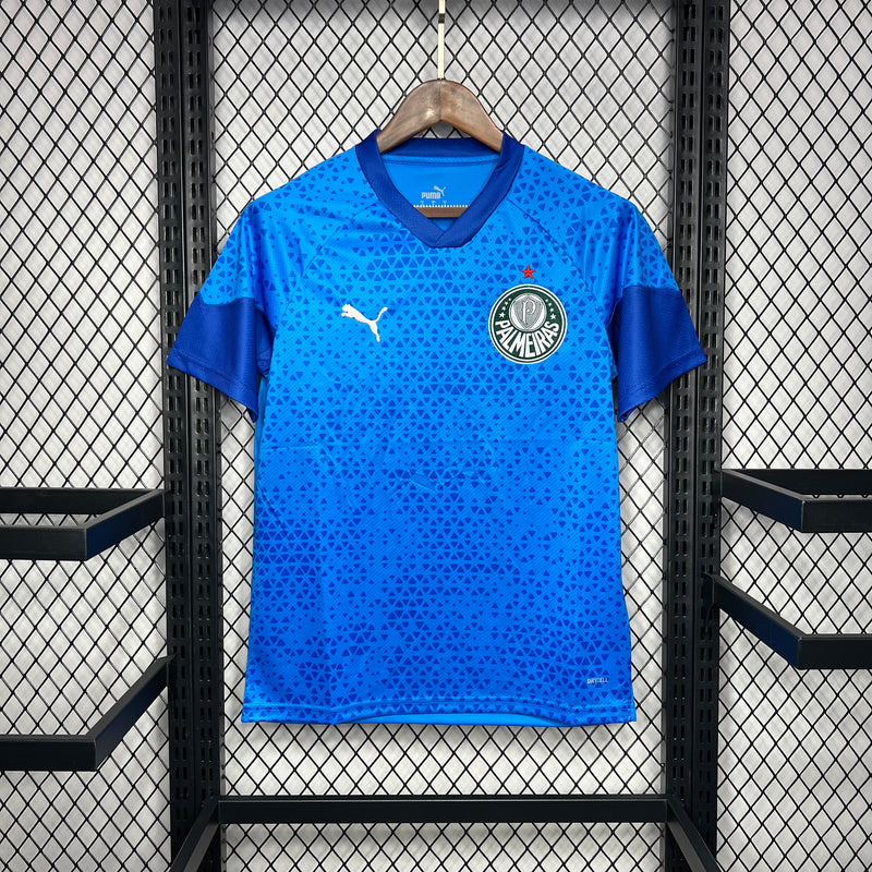 Camisa Palmeiras Treino 24/25 - Puma Torcedor Masculina
