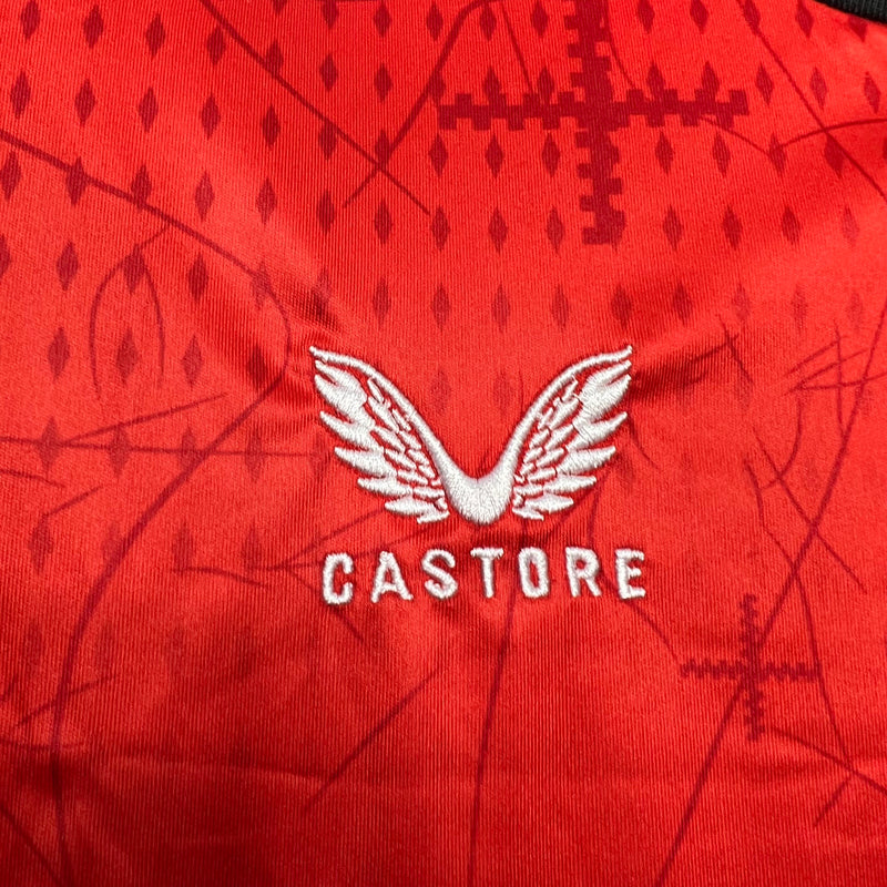 Camisa Bayer Leverkusen Home 24/25 - Castore Torcedor Masculina
