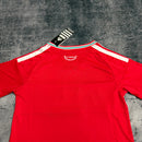 Kit Infantil País de Gales Home 2026 - Adidas Infantil