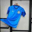 Camisa Palmeiras Treino 24/25 - Puma Torcedor Masculina