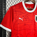 Camisa Áustria Home 24/25 Euro - Puma Torcedor Masculina