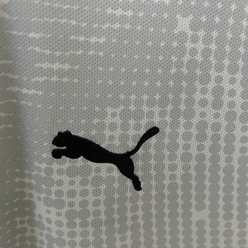 Camisa Portugal Goleiro 25/26 Cinza - Puma Torcedor Masculina