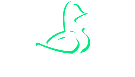 Quack Imports